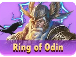 Ring Of Odin game thumbnail
